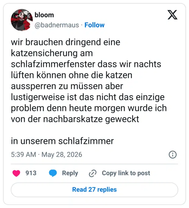 wir brauchen dringend eine katzensicherung am schlafzimmerfenster dass wir nachts lüften können ohne die katzen aussperren zu müssen aber lustigerweise ist das nicht das einzige problem denn heute morgen wurde ich von der nachbarskatze geweckt in unserem schlafzimmer