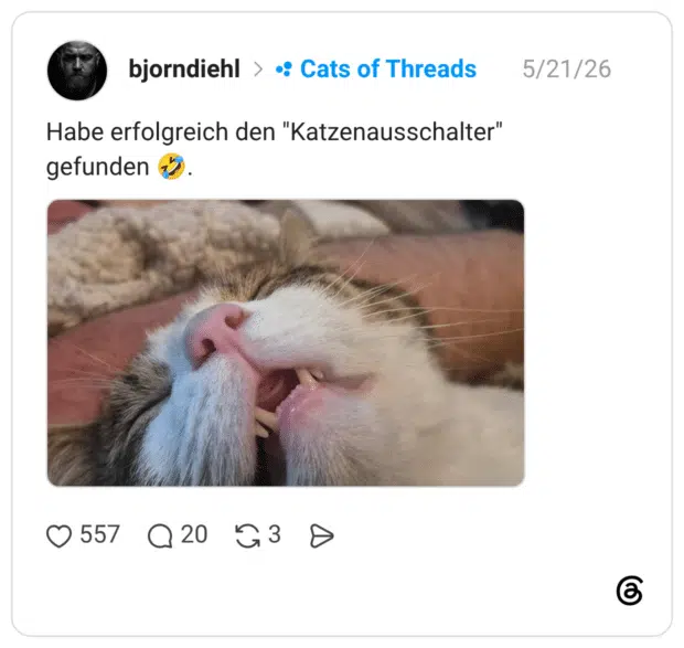 Habe erfolgreich den "Katzenausschalter" gefunden 🤣.
