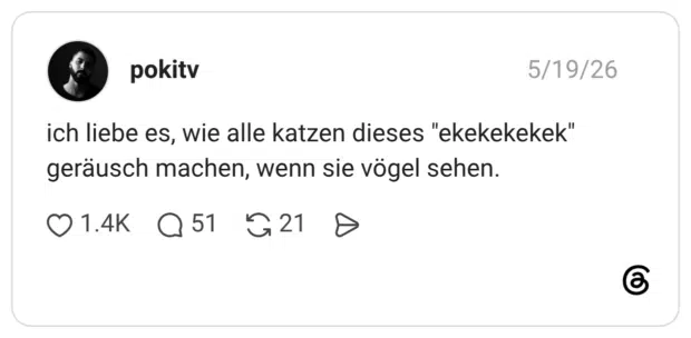 ich liebe es, wie alle katzen dieses "ekekekekek" geräusch machen, wenn sie vögel sehen.
