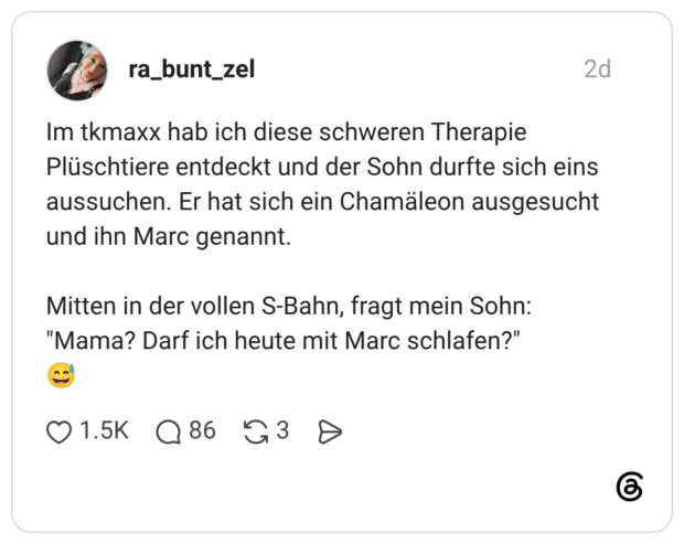 Im tkmaxx hab ich diese schweren Therapie Plüschtiere entdeckt und der Sohn durfte sich eins aussuchen. Er hat sich ein Chamäleon ausgesucht und ihn Marc genannt. Mitten in der vollen S-Bahn, fragt mein Sohn: "Mama? Darf ich heute mit Marc schlafen?"