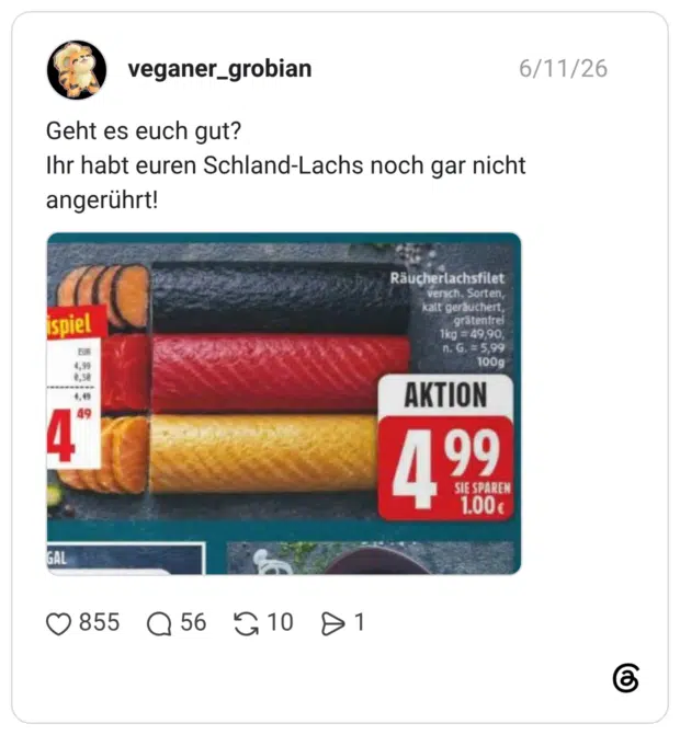 Geht es euch gut? Ihr habt euren Schland-Lachs noch gar nicht angerührt! ispiel