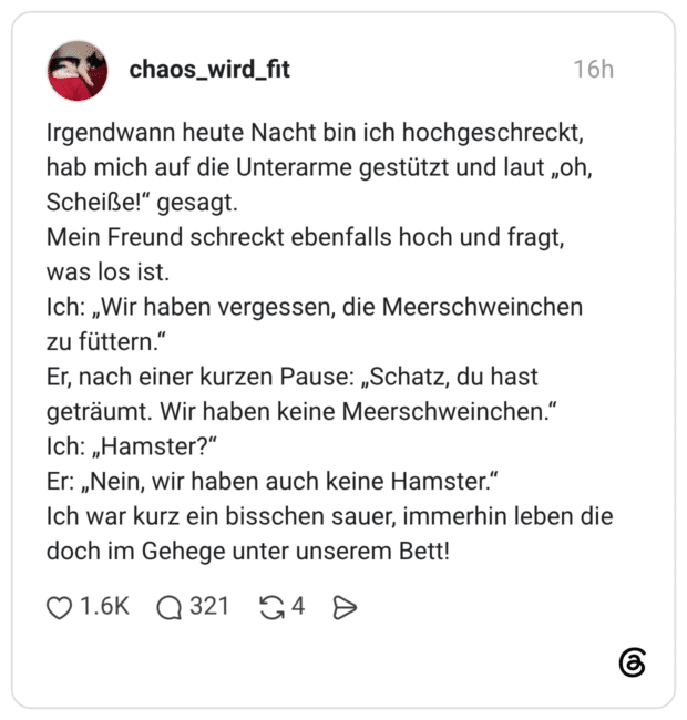 Irgendwann heute Nacht bin ich hochgeschreckt, hab mich auf die Unterarme gestützt und laut „oh, Scheiße!" gesagt. Mein Freund schreckt ebenfalls hoch und fragt, was los ist. Ich: „Wir haben vergessen, die Meerschweinchen zu füttern.' Er, nach einer kurzen Pause: „Schatz, du hast geträumt. Wir haben keine Meerschweinchen.' Ich: „Hamster?" Er: „Nein, wir haben auch keine Hamster." Ich war kurz ein bisschen sauer, immerhin leben die doch im Gehege unter unserem Bett!
