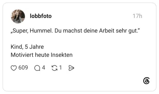 „Super, Hummel. Du machst deine Arbeit sehr gut." Kind, 5 Jahre Motiviert heute Insekten