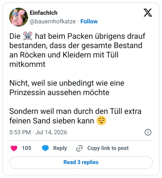 Die bestanden, dass der gesamte Bestand an Röcken und Kleidern mit Tüll mitkommt Nicht, weil sie unbedingt wie eine Prinzessin aussehen möchte Sondern weil man durch den Tüll extra feinen Sand sieben kann