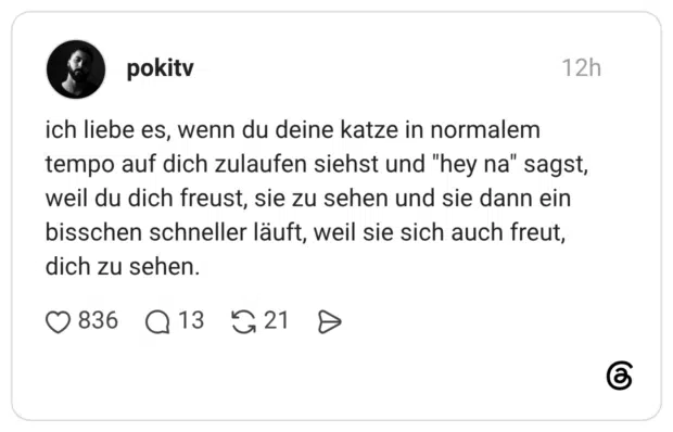 ich liebe es, wenn du deine katze in normalem tempo auf dich zulaufen siehst und "hey na" sagst, weil du dich freust, sie zu sehen und sie dann ein bisschen schneller läuft, weil sie sich auch freut, dich zu sehen.