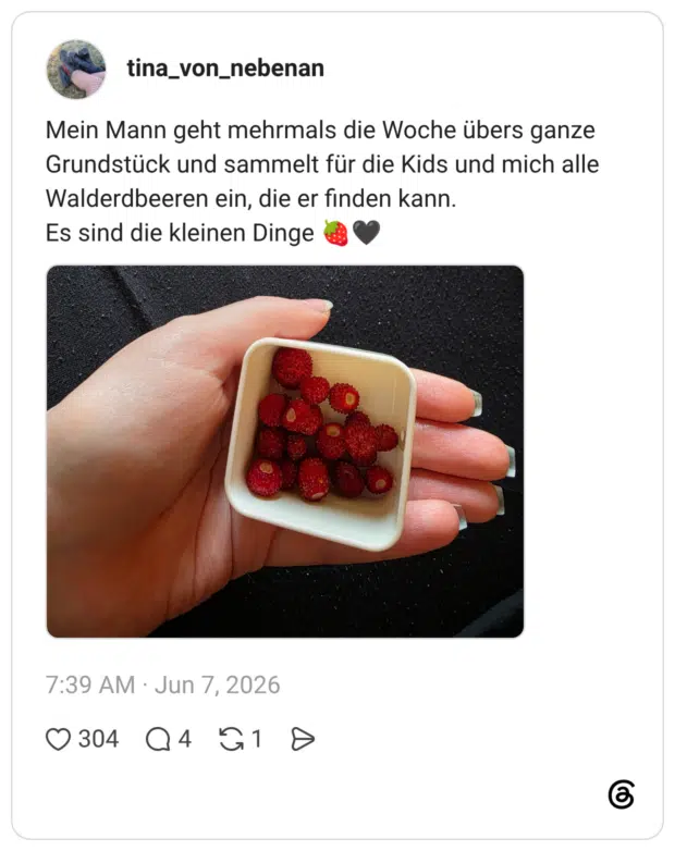 Mein Mann geht mehrmals die Woche übers ganze Grundstück und sammelt für die Kids und mich alle Walderdbeeren ein, die er finden kann. Es sind die kleinen Dinge