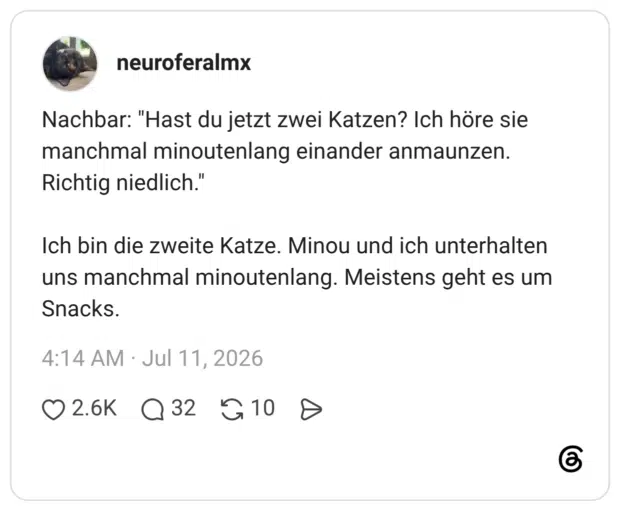 Nachbar: "Hast du jetzt zwei Katzen? Ich höre sie manchmal minoutenlang einander anmaunzen. Richtig niedlich." Ich bin die zweite Katze. Minou und ich unterhalten uns manchmal minoutenlang. Meistens geht es um Snacks.