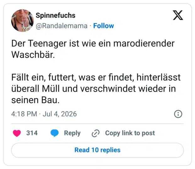 Der Teenager ist wie ein marodierender Waschbär. Fällt ein, futtert, was er findet, hinterlässt überall Müll und verschwindet wieder in seinen Bau.