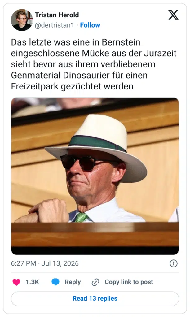 Das letzte was eine in Bernstein eingeschlossene Mücke aus der Jurazeit sieht bevor aus ihrem verbliebenem Genmaterial Dinosaurier für einen Freizeitpark gezüchtet werden