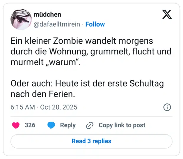 Ein kleiner Zombie wandelt morgens durch die Wohnung, grummelt, flucht und murmelt „warum“. Oder auch: Heute ist der erste Schultag nach den Ferien.