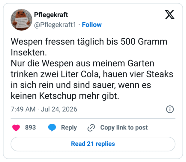 Wespen fressen täglich bis 500 Gramm Insekten. Nur die Wespen aus meinem Garten trinken zwei Liter Cola, hauen vier Steaks in sich rein und sind sauer, wenn es keinen Ketschup mehr gibt.
