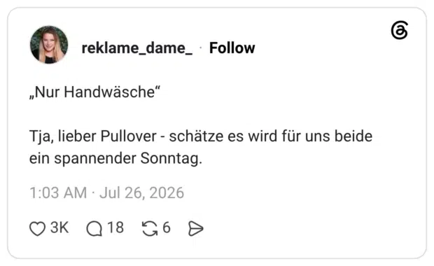 „Nur Handwäsche" Tja, lieber Pullover - schätze es wird für uns beide ein spannender Sonntag.