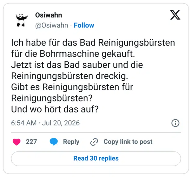 Ich habe für das Bad Reinigungsbürsten für die Bohrmaschine gekauft. Jetzt ist das Bad sauber und die Reiningungsbürsten dreckig. Gibt es Reinigungsbürsten für Reinigungsbürsten? Und wo hört das auf