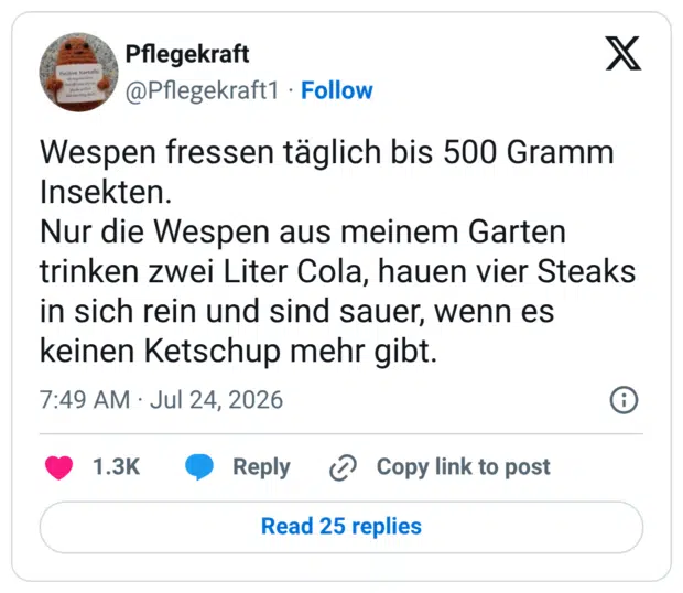 Wespen fressen täglich bis 500 Gramm Insekten. Nur die Wespen aus meinem Garten trinken zwei Liter Cola, hauen vier Steaks in sich rein und sind sauer, wenn es keinen Ketschup mehr gibt.