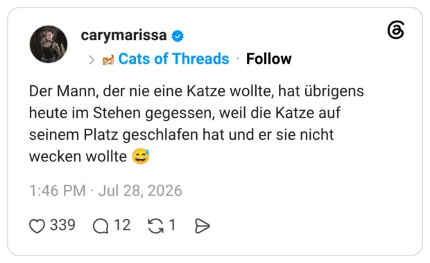 Der Mann, der nie eine Katze wollte, hat übrigens heute im Stehen gegessen, weil die Katze auf seinem Platz geschlafen hat und er sie nicht wecken wollte