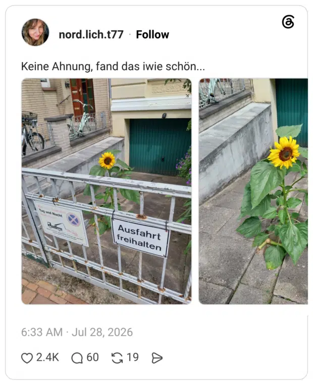 Keine Ahnung, fand das iwie schön...