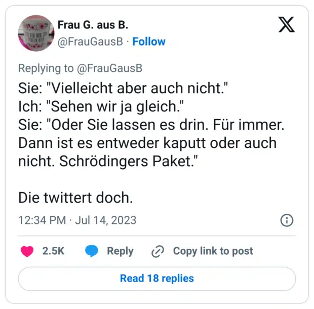 Sie: "Vielleicht aber auch nicht." Ich: "Sehen wir ja gleich." Sie: "Oder Sie lassen es drin. Für immer. Dann ist es entweder kaputt oder auch nicht. Schrödingers Paket." Die twittert doch.