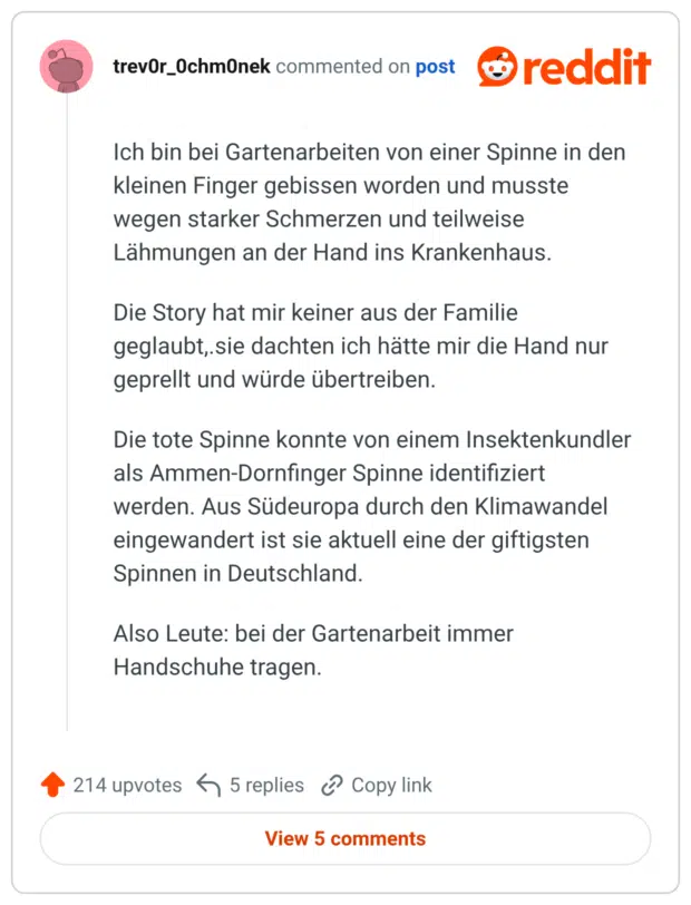 Ich bin bei Gartenarbeiten von einer Spinne in den kleinen Finger gebissen worden und musste wegen starker Schmerzen und teilweise Lähmungen an der Hand ins Krankenhaus. Die Story hat mir keiner aus der Familie geglaubt,.sie dachten ich hätte mir die Hand nur geprellt und würde übertreiben. Die tote Spinne konnte von einem Insektenkundler als Ammen-Dornfinger Spinne identifiziert werden. Aus Südeuropa durch den Klimawandel eingewandert ist sie aktuell eine der giftigsten Spinnen in Deutschland. Also Leute: bei der Gartenarbeit immer Handschuhe tragen.