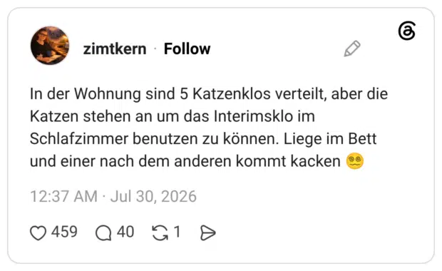 In der Wohnung sind 5 Katzenklos verteilt, aber die Katzen stehen an um das Interimsklo im Schlafzimmer benutzen zu können. Liege im Bett und einer nach dem anderen kommt kacken 😵💫