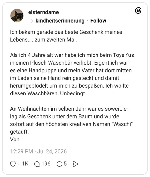 Ich bekam gerade das beste Geschenk meines Lebens.... zum zweiten Mal. Als ich 4 Jahre alt war habe ich mich beim Toys'r'us in einen Plüsch-Waschbär verliebt. Eigentlich war es eine Handpuppe und mein Vater hat dort mitten im Laden seine Hand rein gesteckt und damit herumgeblödelt um mich zu bespaßen. Ich wollte diesen Waschbären. Unbedingt. An Weihnachten im selben Jahr war es soweit: er lag als Geschenk unter dem Baum und wurde sofort auf den höchsten kreativen Namen "Waschi" getauft. Von