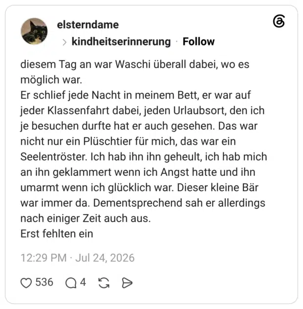 diesem Tag an war Waschi überall dabei, wo es möglich war. Er schlief jede Nacht in meinem Bett, er war auf jeder Klassenfahrt dabei, jeden Urlaubsort, den ich je besuchen durfte hat er auch gesehen. Das war nicht nur ein Plüschtier für mich, das war ein Seelentröster. Ich hab ihn ihn geheult, ich hab mich an ihn geklammert wenn ich Angst hatte und ihn umarmt wenn ich glücklich war. Dieser kleine Bär war immer da. Dementsprechend sah er allerdings nach einiger Zeit auch aus. Erst fehlten ein