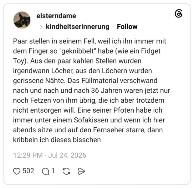 Paar stellen in seinem Fell, weil ich ihn immer mit dem Finger so "geknibbelt" habe (wie ein Fidget Toy). Aus den paar kahlen Stellen wurden irgendwann Löcher, aus den Löchern wurden gerissene Nähte. Das Füllmaterial verschwand nach und nach und nach 36 Jahren waren jetzt nur noch Fetzen von ihm übrig, die ich aber trotzdem nicht entsorgen will. Eine seiner Pfoten habe ich immer unter einem Sofakissen und wenn ich hier abends sitze und auf den Fernseher starre, dann kribbeln ich dieses bisschen