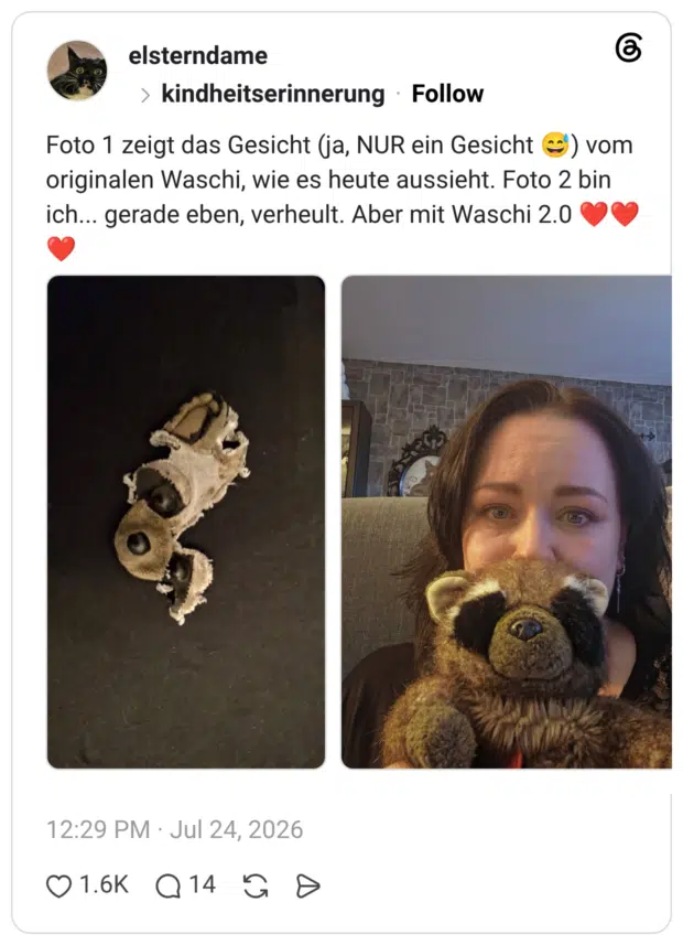 Foto 1 zeigt das Gesicht (ja, NUR ein Gesicht ) vom originalen Waschi, wie es heute aussieht. Foto 2 bin ich... gerade eben, verheult. Aber mit Waschi 2.0