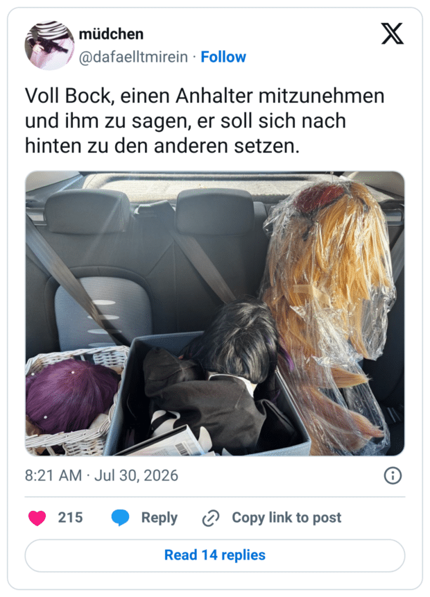 Voll Bock, einen Anhalter mitzunehmen und ihm zu sagen, er soll sich nach hinten zu den anderen setzen.
