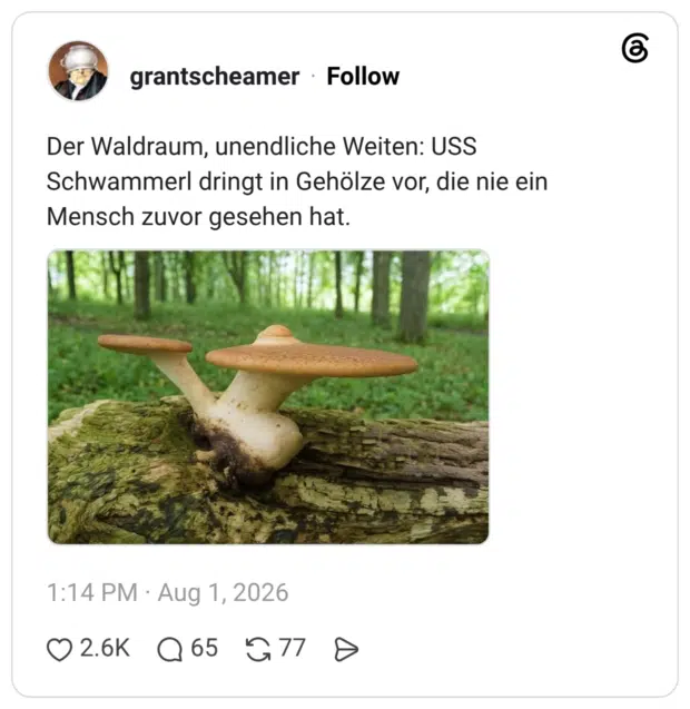 Der Waldraum, unendliche Weiten: USS Schwammerl dringt in Gehölze vor, die nie ein Mensch zuvor gesehen hat.