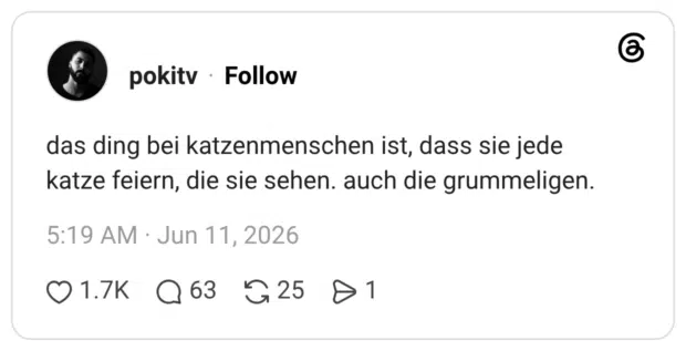 das ding bei katzenmenschen ist, dass sie jede katze feiern, die sie sehen. auch die grummeligen.