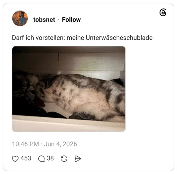 Darf ich vorstellen: meine Unterwäscheschublade