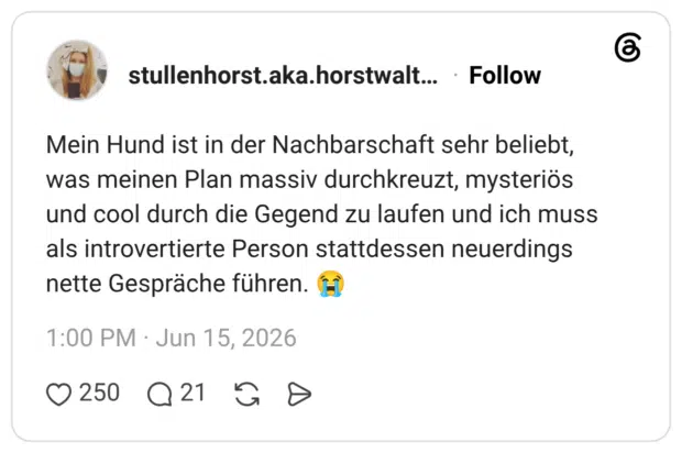 Mein Hund ist in der Nachbarschaft sehr beliebt, was meinen Plan massiv durchkreuzt, mysteriös und cool durch die Gegend zu laufen und ich muss als introvertierte Person stattdessen neuerdings nette Gespräche führen. 😭