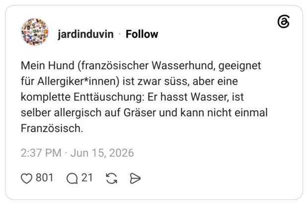 Mein Hund (französischer Wasserhund, geeignet für Allergiker*innen) ist zwar süss, aber eine komplette Enttäuschung: Er hasst Wasser, ist selber allergisch auf Gräser und kann nicht einmal Französisch.