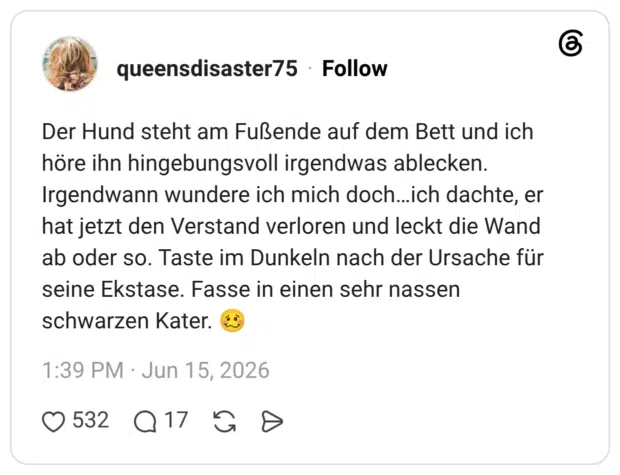 Der Hund steht am Fußende auf dem Bett und ich höre ihn hingebungsvoll irgendwas ablecken. Irgendwann wundere ich mich doch…ich dachte, er hat jetzt den Verstand verloren und leckt die Wand ab oder so. Taste im Dunkeln nach der Ursache für seine Ekstase. Fasse in einen sehr nassen schwarzen Kater. 🥴