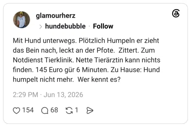 Mit Hund unterwegs. Plötzlich Humpeln er zieht das Bein nach, leckt an der Pfote. Zittert. Zum Notdienst Tierklinik. Nette Tierärztin kann nichts finden. 145 Euro gür 6 Minuten. Zu Hause: Hund humpelt nicht mehr. Wer kennt es?