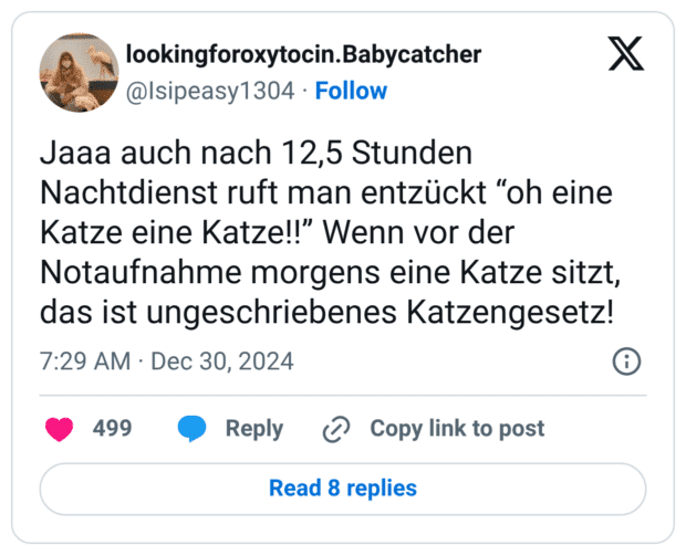 Jaaa auch nach 12,5 Stunden Nachtdienst ruft man entzückt “oh eine Katze eine Katze!!” Wenn vor der Notaufnahme morgens eine Katze sitzt, das ist ungeschriebenes Katzengesetz!