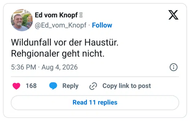 Wildunfall vor der Haustür. Regionaler geht nicht.