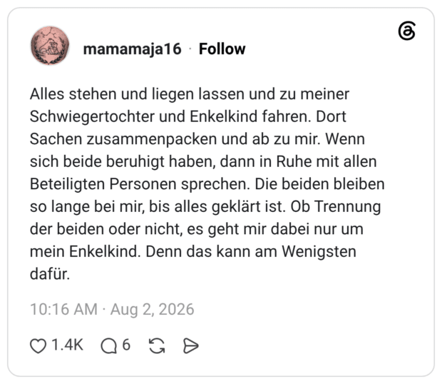 Alles stehen und liegen lassen und zu meiner Schwiegertochter und Enkelkind fahren. Dort Sachen zusammenpacken und ab zu mir. Wenn sich beide beruhigt haben, dann in Ruhe mit allen Beteiligten Personen sprechen. Die beiden bleiben so lange bei mir, bis alles geklärt ist. Ob Trennung der beiden oder nicht, es geht mir dabei nur um mein Enkelkind. Denn das kann am Wenigsten dafür.