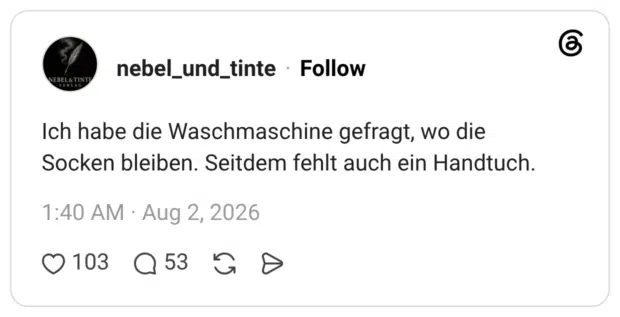 Ich habe die Waschmaschine gefragt, wo die Socken bleiben. Seitdem fehlt auch ein Handtuch.