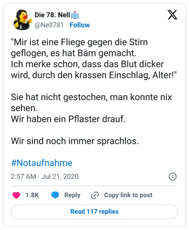 "Mir ist eine Fliege gegen die Stirn geflogen, es hat Bäm gemacht. Ich merke schon, dass das Blut dicker wird, durch den krassen Einschlag, Alter!" Sie hat nicht gestochen, man konnte nix sehen. Wir haben ein Pflaster drauf. Wir sind noch immer sprachlos. #Notaufnahme