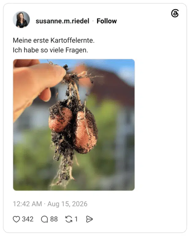 Meine erste Kartoffelernte. Ich habe so viele Fragen.