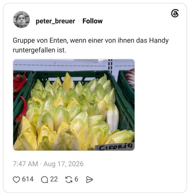 Gruppe von Enten, wenn einer von ihnen das Handy runtergefallen ist.