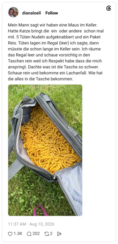 Mein Mann sagt wir haben eine Maus im Keller. Hatte Katze bringt die ein oder andere schon mal mit. 5 Tüten Nudeln aufgeknabbert und ein Paket Reis. Tüten lagen im Regal (leer) ich sagte, dann müsste die schon lange im Keller sein. Ich räume das Regal leer und schaue vorsichtig in den Taschen rein weil ich Respekt habe dass die mich anspringt. Dachte was ist die Tasche so schwer. Schaue rein und bekomme ein Lachanfall. Wie hat die alles in die Tasche bekommen. 1 / 2