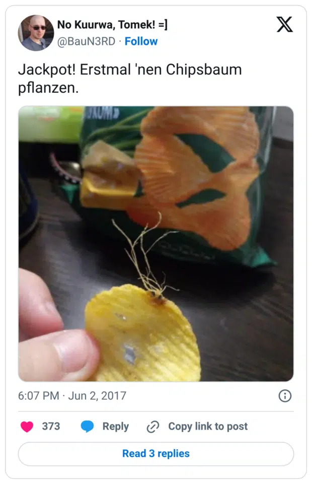 Jackpot! Erstmal 'nen Chipsbaum pflanzen.