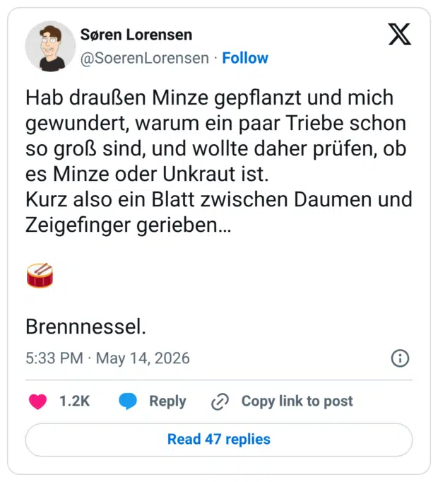 Hab draußen Minze gepflanzt und mich gewundert, warum ein paar Triebe schon so groß sind, und wollte daher prüfen, ob es Minze oder Unkraut ist. Kurz also ein Blatt zwischen Daumen und Zeigefinger gerieben… 🥁 Brennnessel.