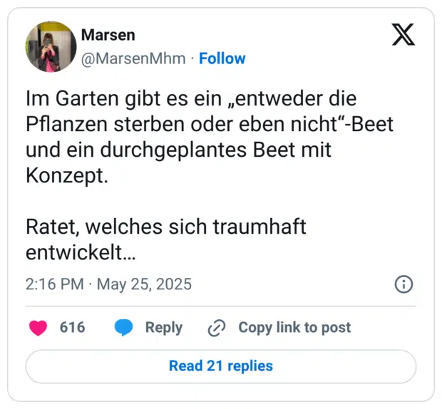 Im Garten gibt es ein „entweder die Pflanzen sterben oder eben nicht“-Beet und ein durchgeplantes Beet mit Konzept. Ratet, welches sich traumhaft entwickelt…