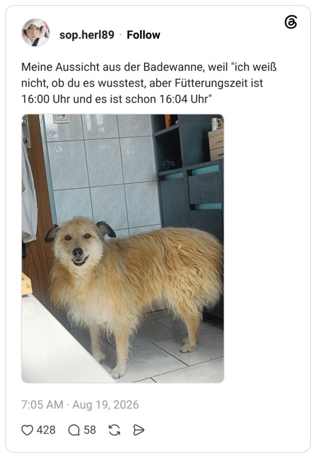 Meine Aussicht aus der Badewanne, weil "ich weiß nicht, ob du es wusstest, aber Fütterungszeit ist 16:00 Uhr und es ist schon 16:04 Uhr