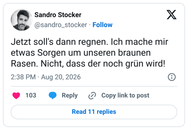 Jetzt soll's dann regnen. Ich mache mir etwas Sorgen um unseren braunen Rasen. Nicht, dass der noch grün wird!