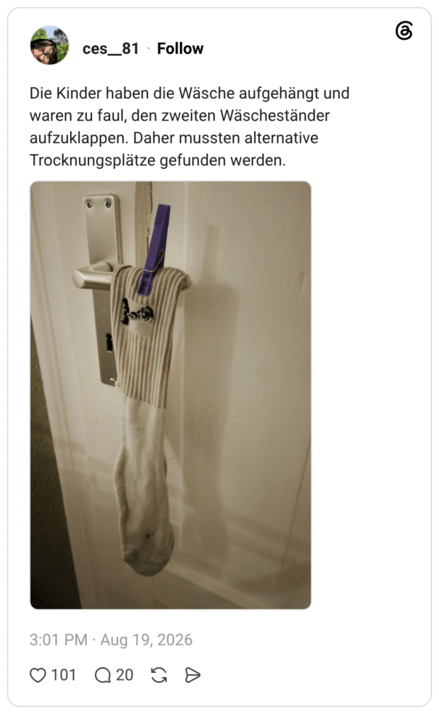 Die Kinder haben die Wäsche aufgehängt und waren zu faul, den zweiten Wäscheständer aufzuklappen. Daher mussten alternative Trocknungsplätze gefunden werden.