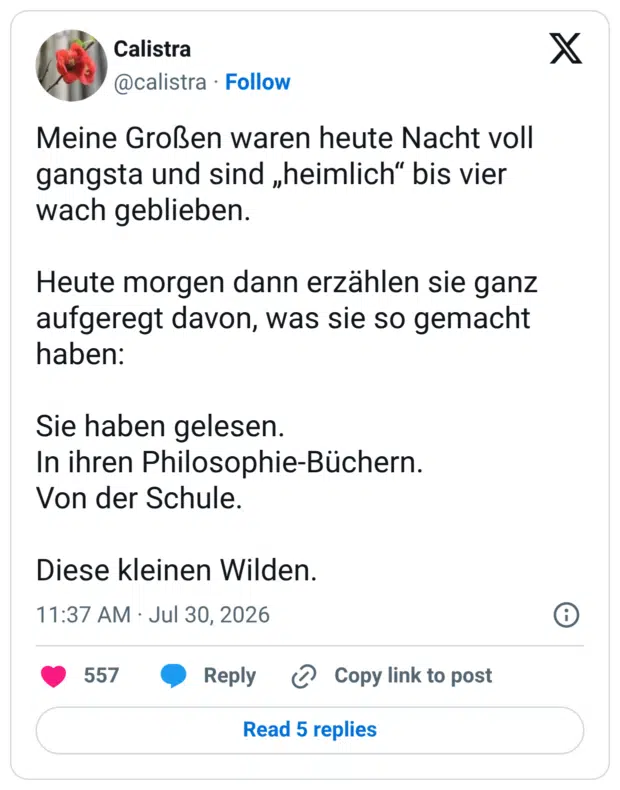 Meine Großen waren heute Nacht voll gangsta und sind „heimlich" bis vier wach geblieben. Heute morgen dann erzählen sie ganz aufgeregt davon, was sie so gemacht haben: Sie haben gelesen. In ihren Philosophie-Büchern. Von der Schule. Diese kleinen Wilden.